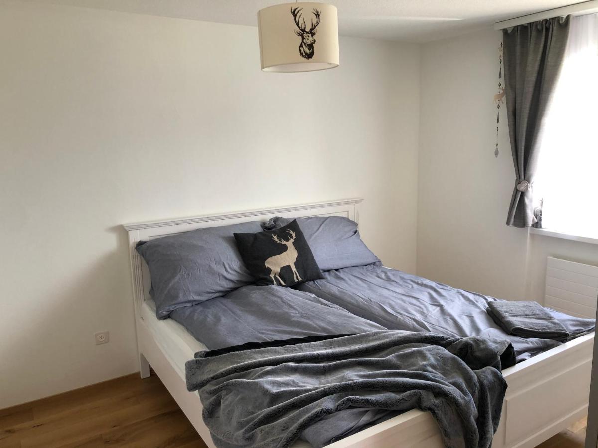 Renovated 3 Rooms Apartment In Ruschein Near Laax Экстерьер фото
